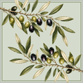 the olive branches
