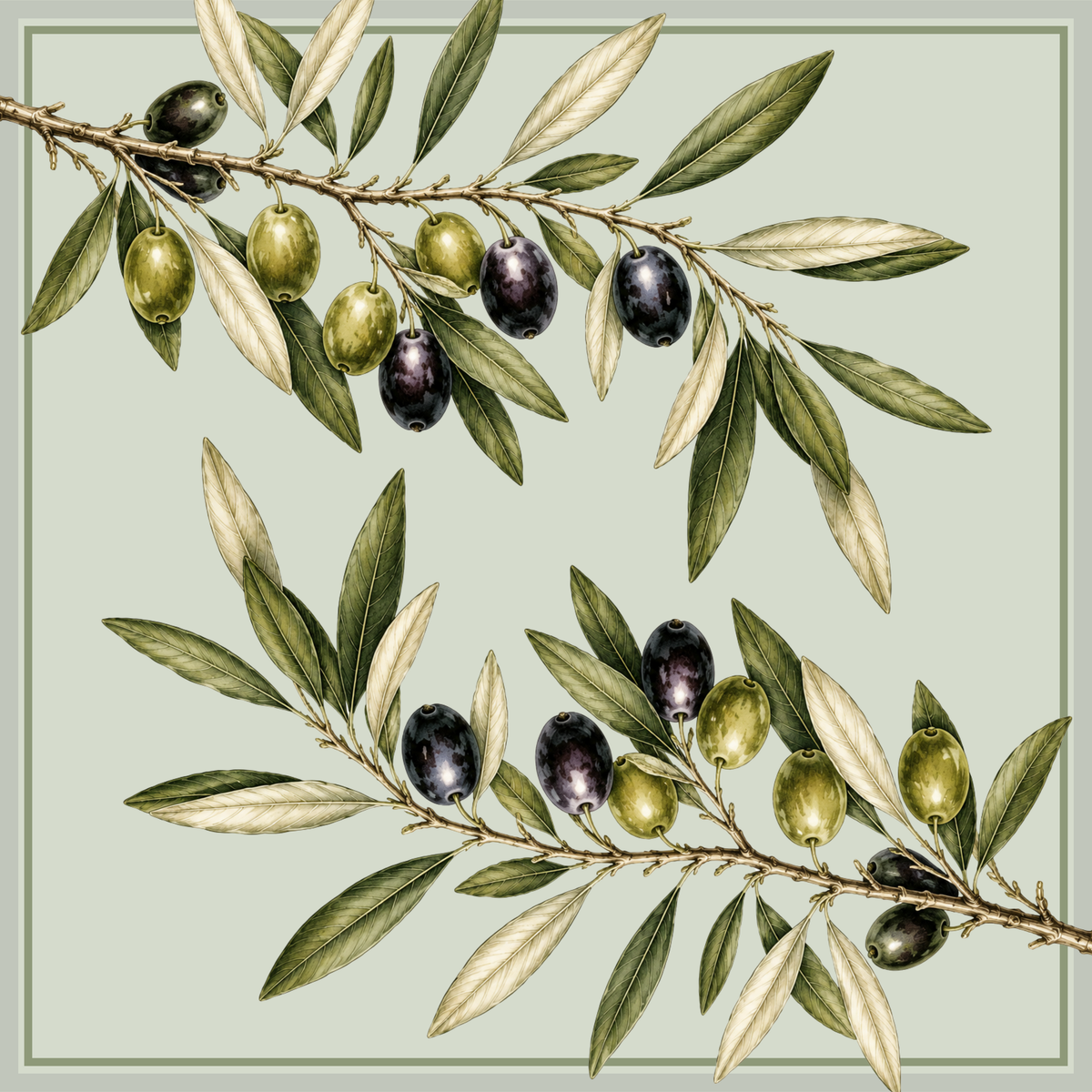 the olive branches