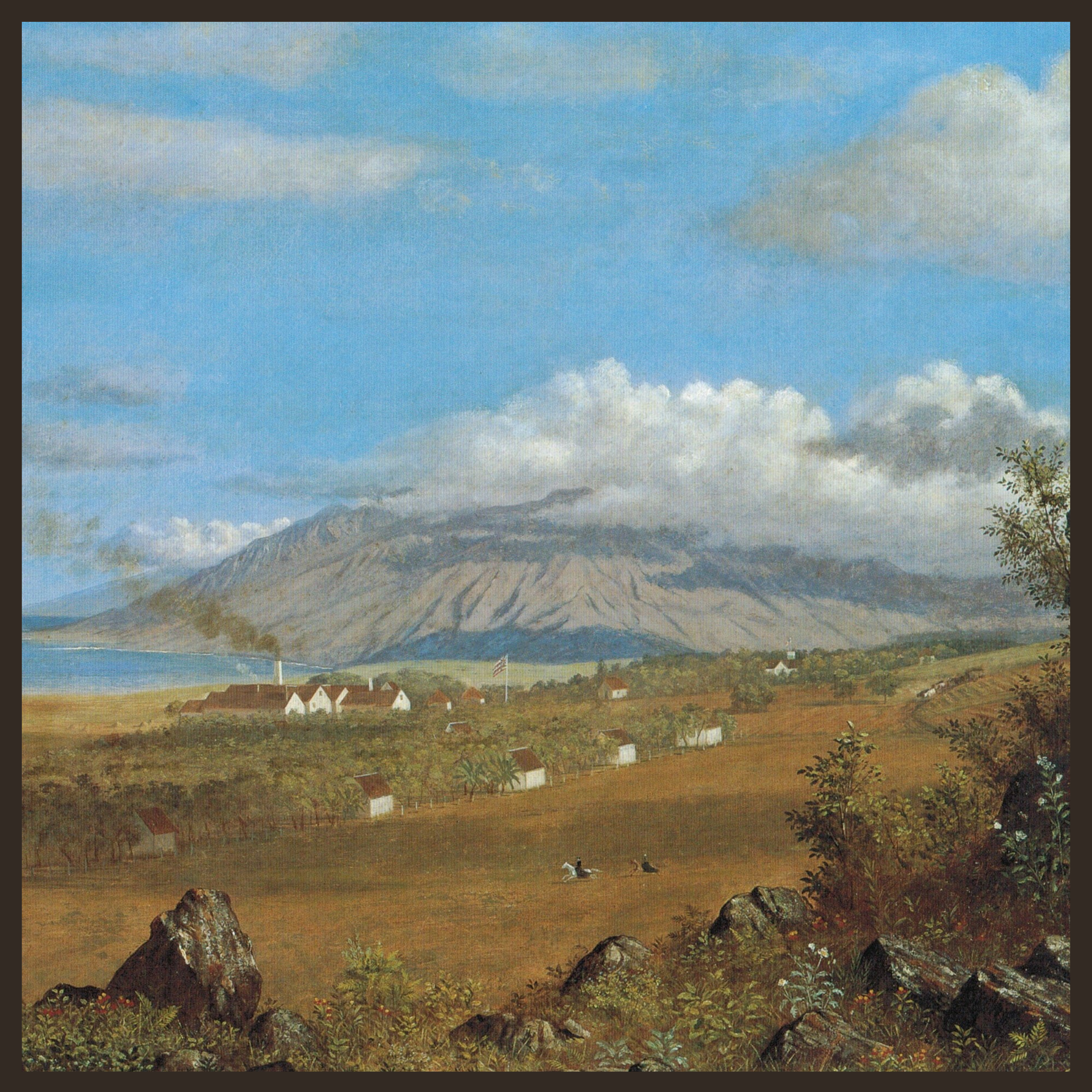 the rose ranch