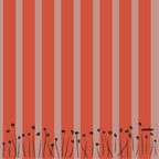 Circo (watermelon)